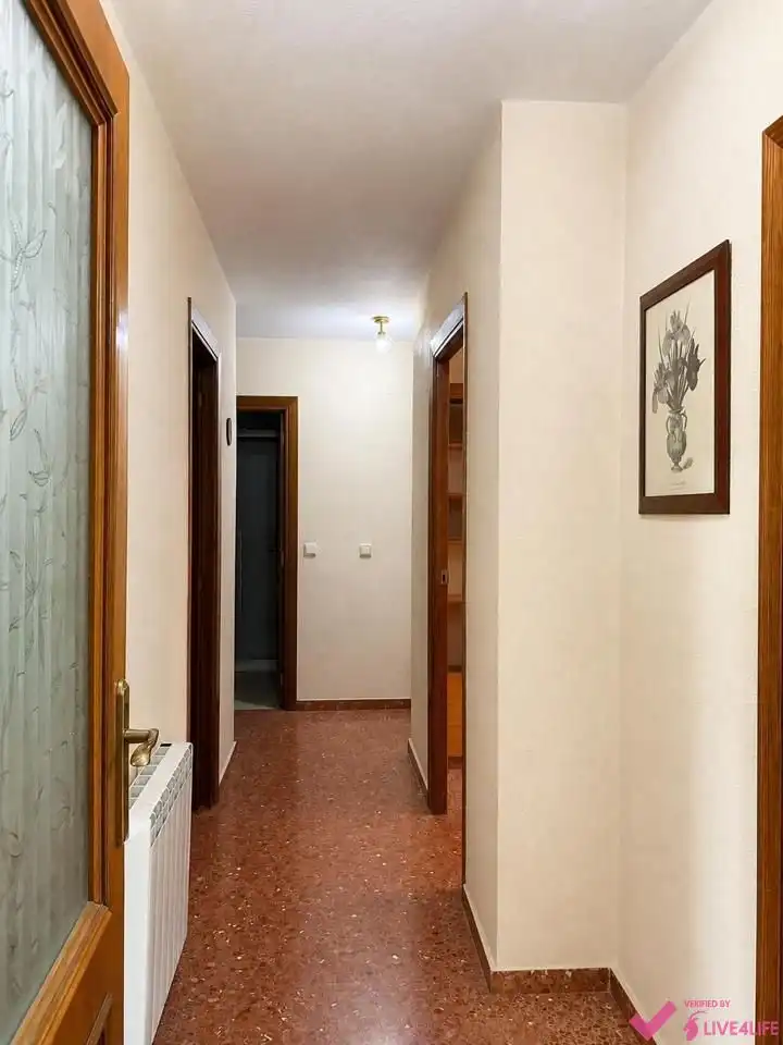 Flat with lift to rent in Calle Profesor Francisco Dalmau, imagen 13