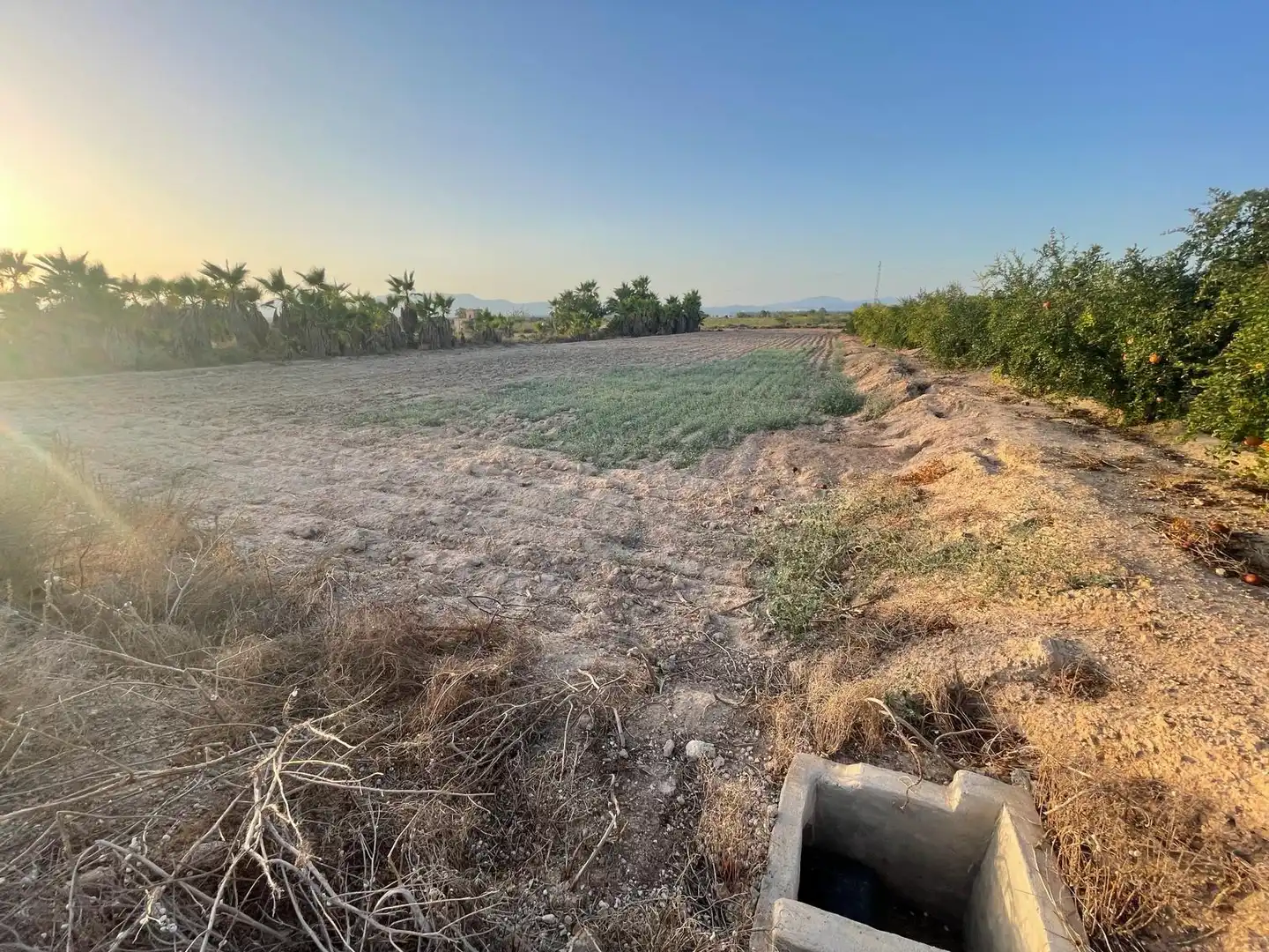 Terrain rustique à vendre à La Foia - Daimés - Asprella, imagen 8