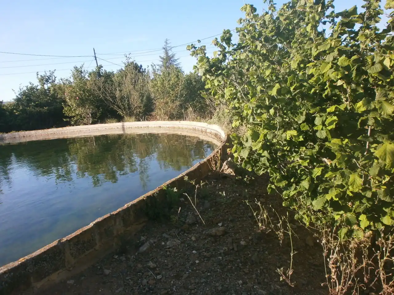 Schwimmbecken von Grundstücke zum Verkauf in Vilallonga del Camp