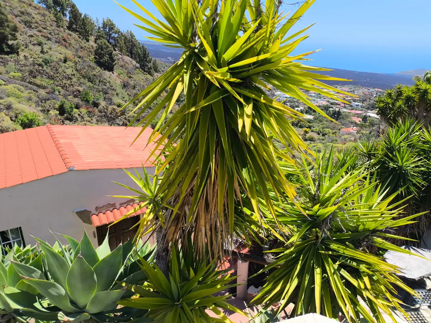 Vista exterior de Casa o xalet en venda en El Paso amb Aire condicionat, Calefacció i Jardí privat