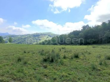 Terreno rustico in vendita a N/A