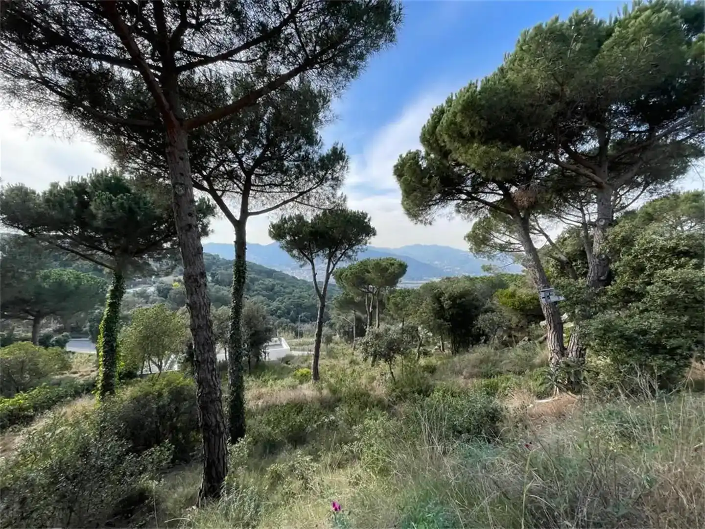 Finca rústica en venda en Mataró