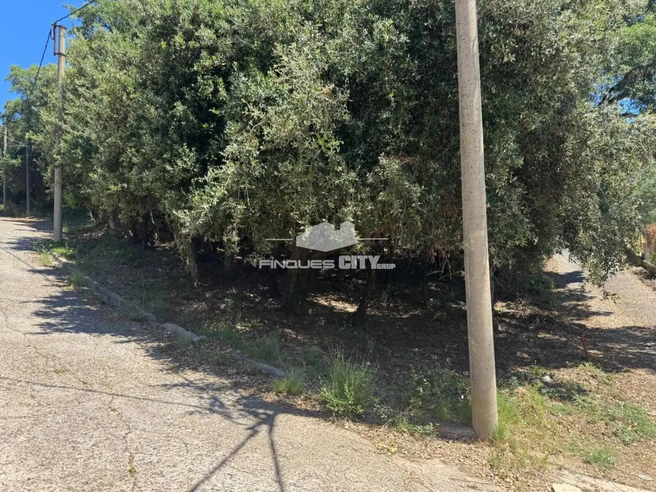 Residential land for sale in Calle Fores, imagen 2