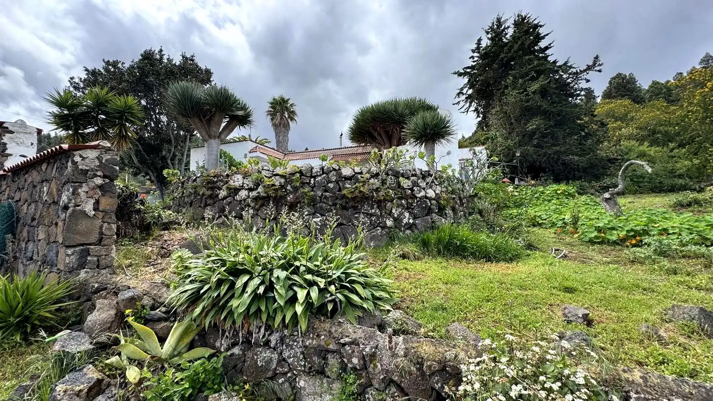 Jardín de Finca rústica en venta en Icod de los Vinos con Piscina