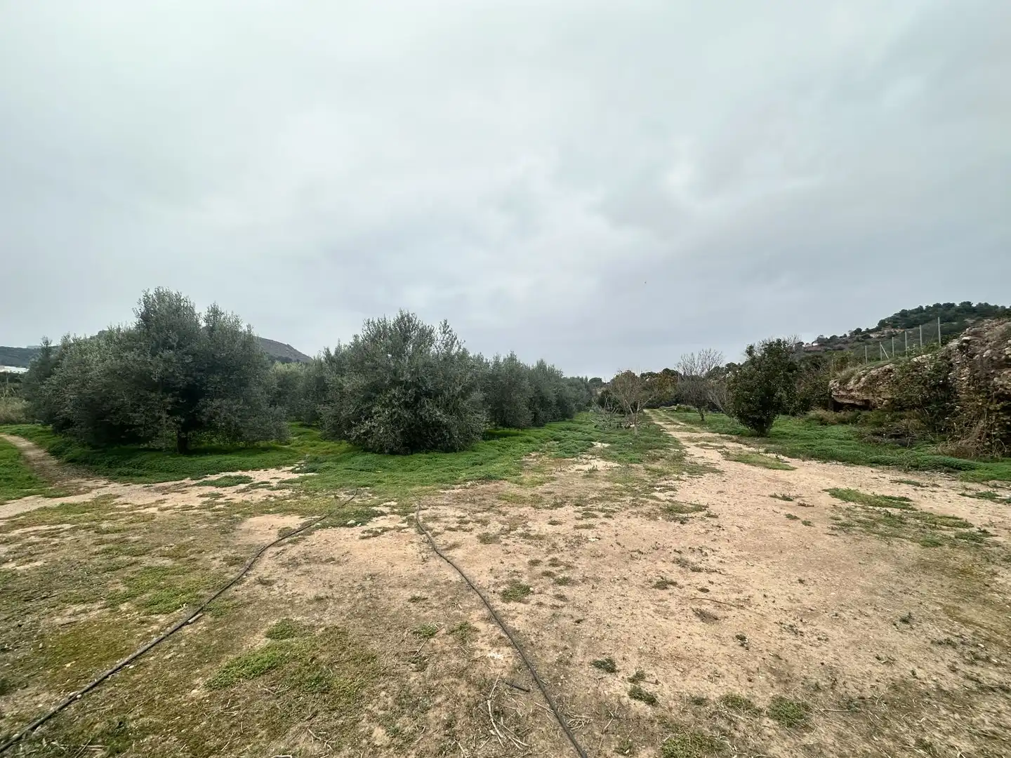 Wohnbaugrundstück zum Verkauf in Petrés, imagen 32