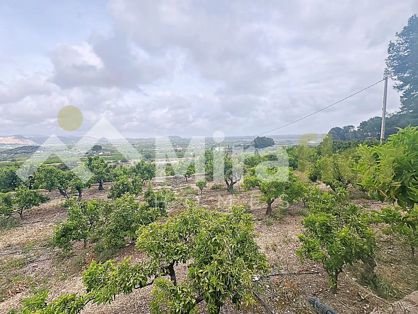 Finca rústica en venta en Pego con Jardín privado, Terraza y Amueblado
