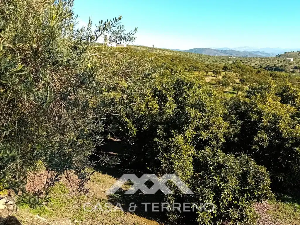 Casa o xalet en venda en Alozaina amb Piscina