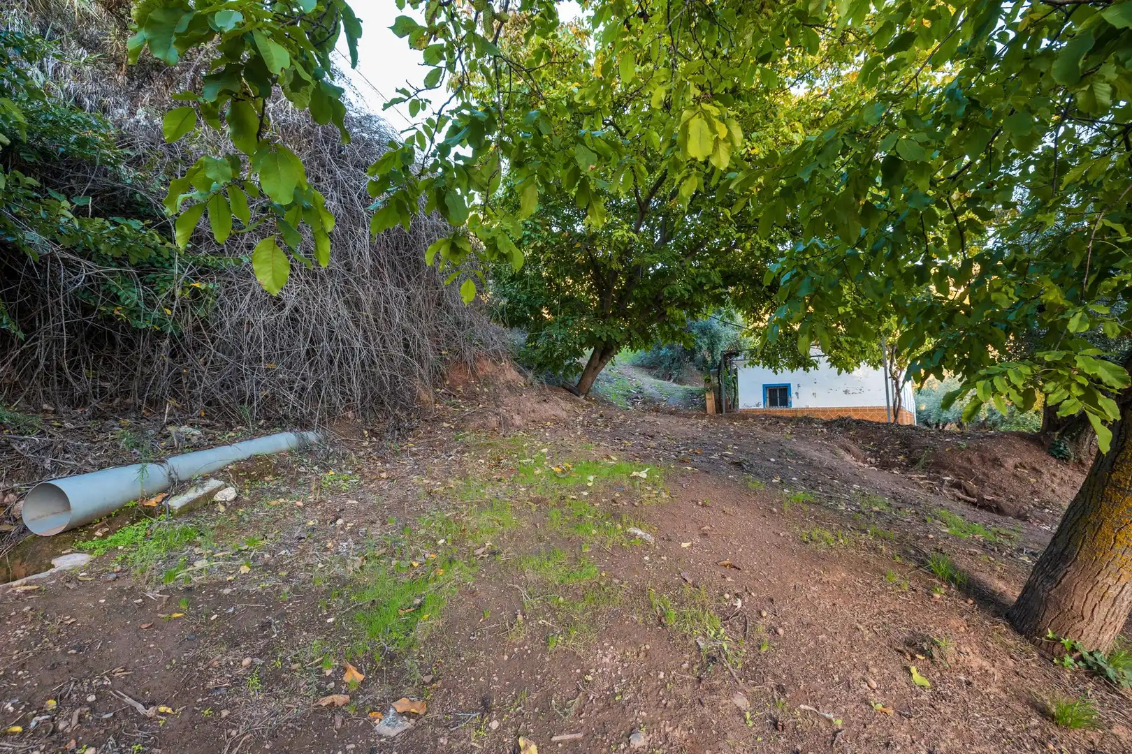 Casa o xalet en venda en Cogollos de la Vega