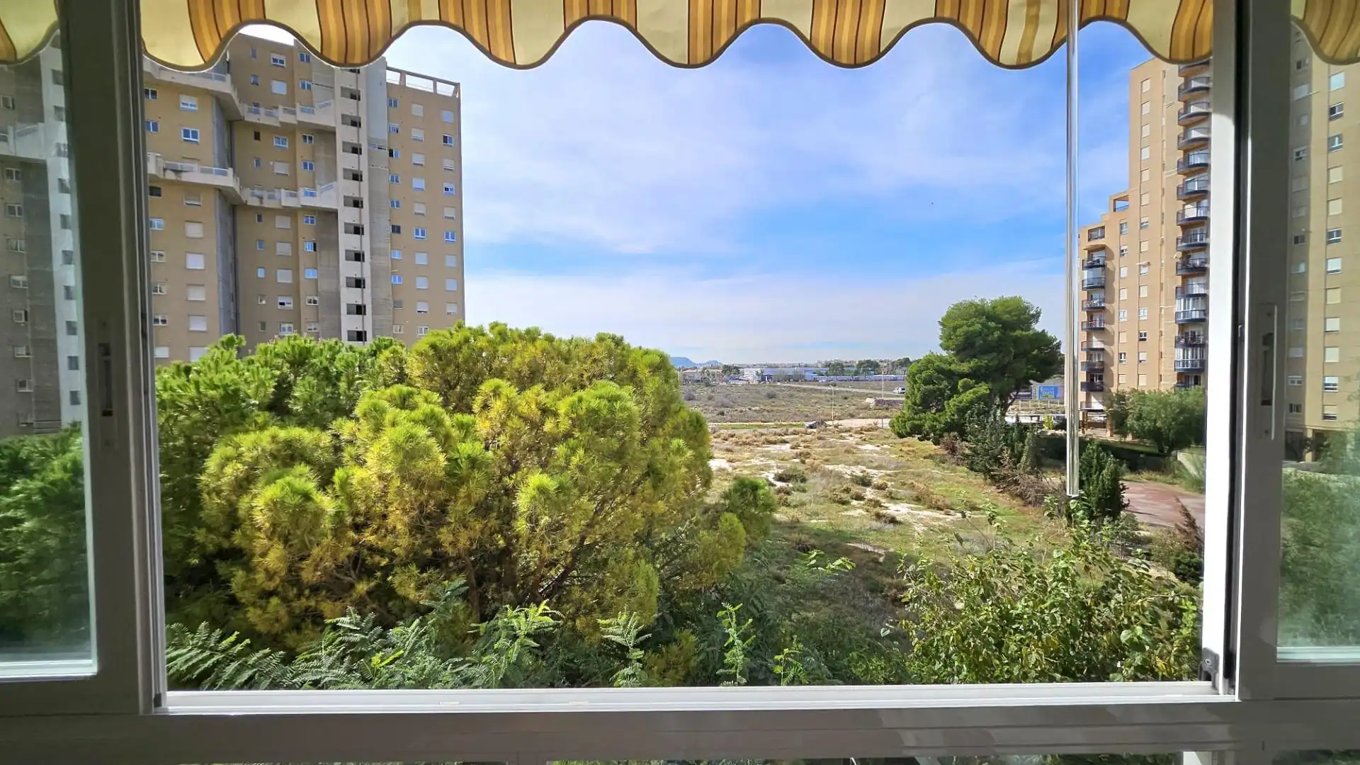 Apartments for rent in Playa Muchavista