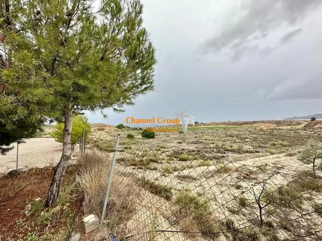 Finca rústica en venta en Novelda