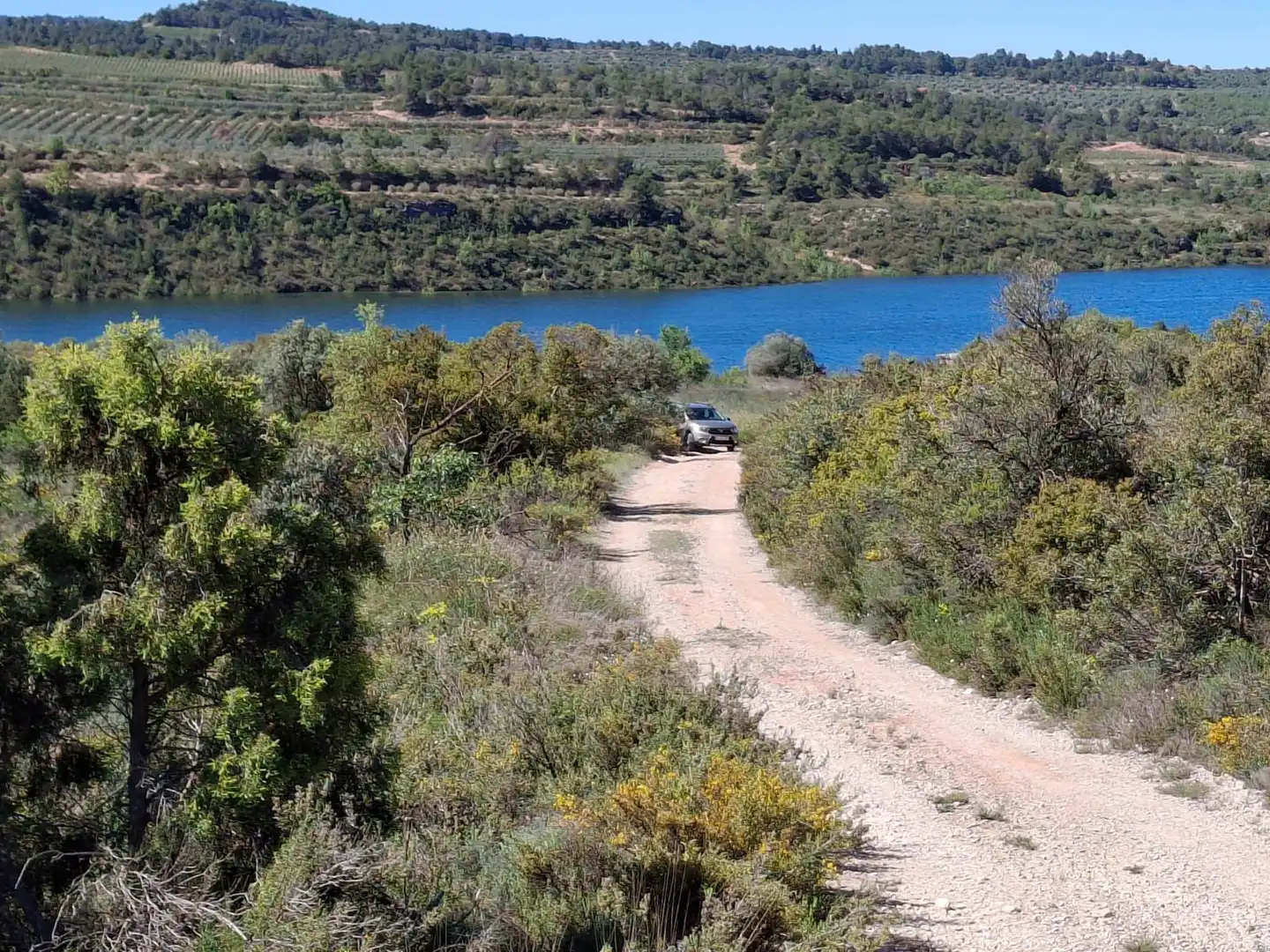 Terreno rustico in vendita a Cervià de Les Garrigues, imagen 4