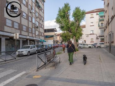 Appartamento in vendita a Zaidín