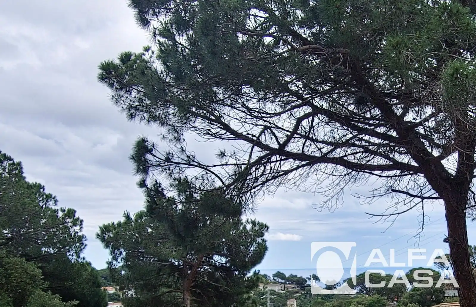 Rural land for sale in Serra Brava, imagen 5