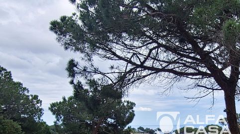 Foto 5 de Terreno en venta en Serra Brava, Lloret de Mar