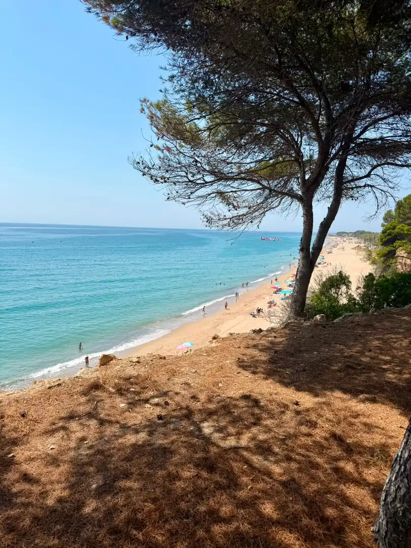Exterior view of Flat for sale in Mont-roig del Camp  with Heating, Terrace and Furnished