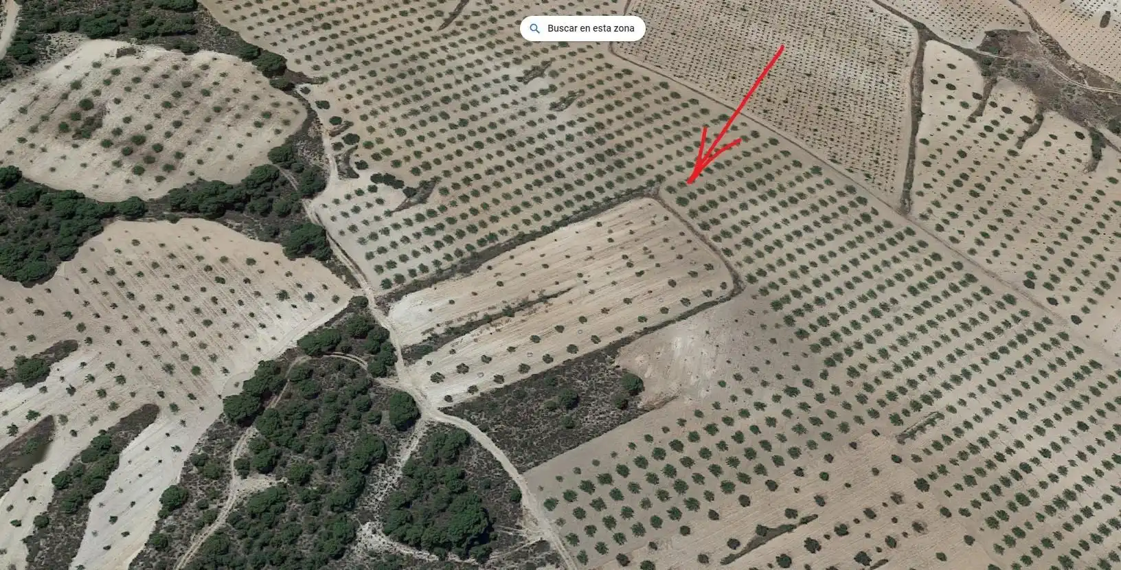 Rural land for sale in Jumilla, imagen 2