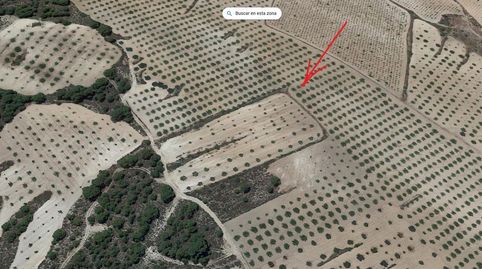 Terreno rústico de 7.263 m2 con almendros en Jumilla., immagine 2