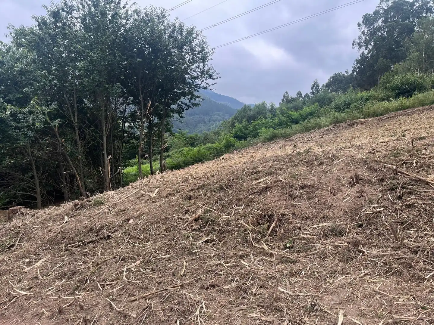 Terrenos y solares en venta en Caxidi, imagen 4