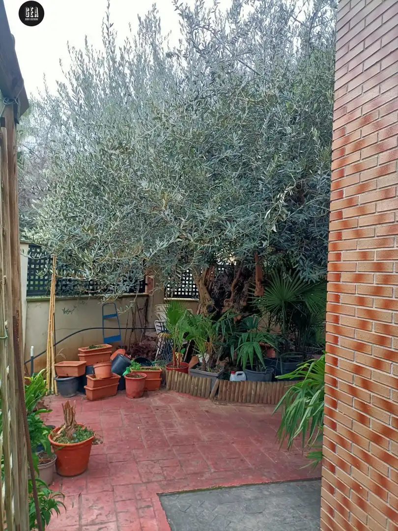 Jardín de Casa o chalet en venta en Vilanova de Segrià con Aire acondicionado, Calefacción y Jardín privado
