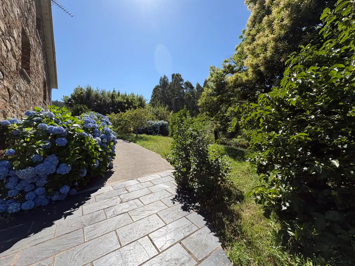 Jardín de Casa o chalet en venta en Cedeira con Calefacción, Jardín privado y Horno