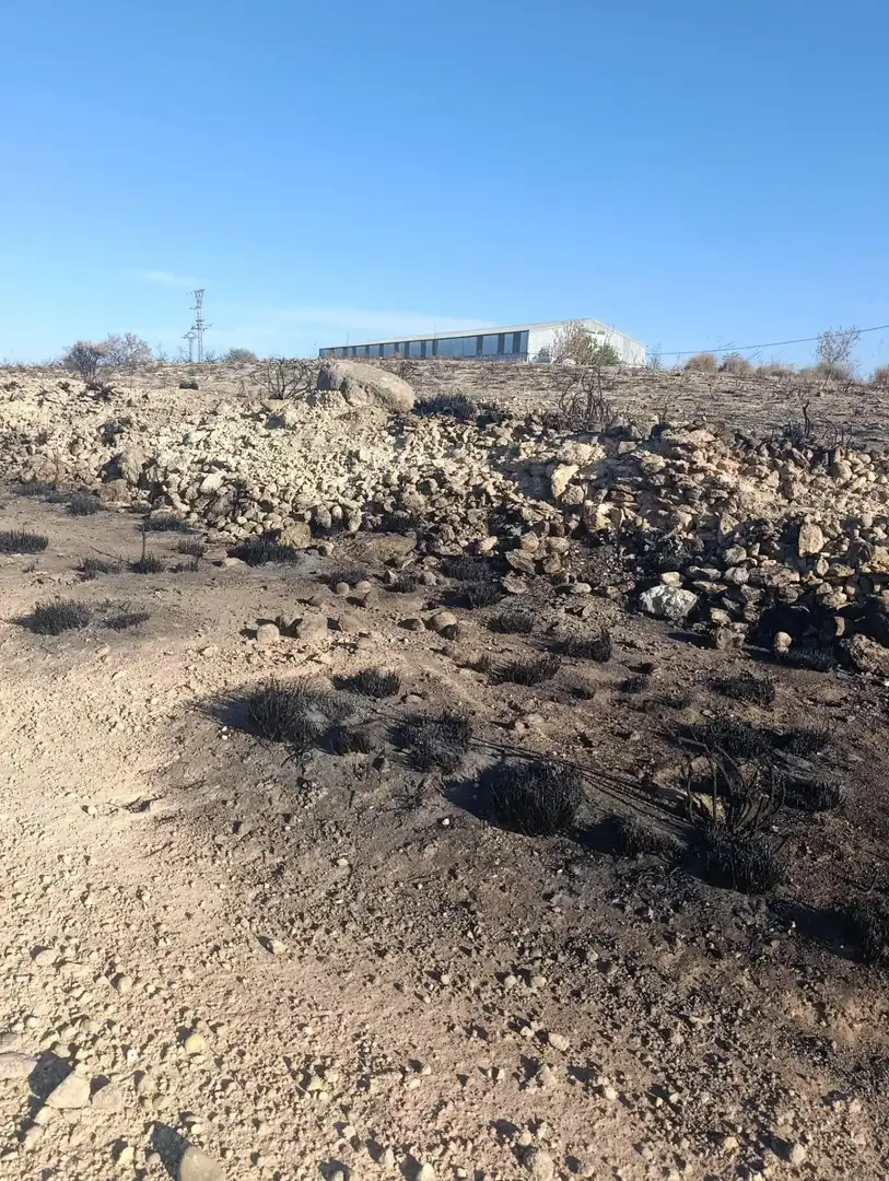 Industrial land for sale in Bullas, Murcia