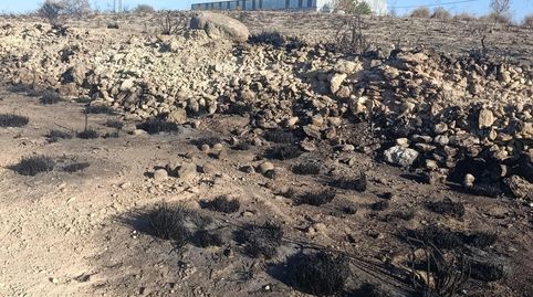 Photo 3 of Industrial land for sale in Bullas, Murcia