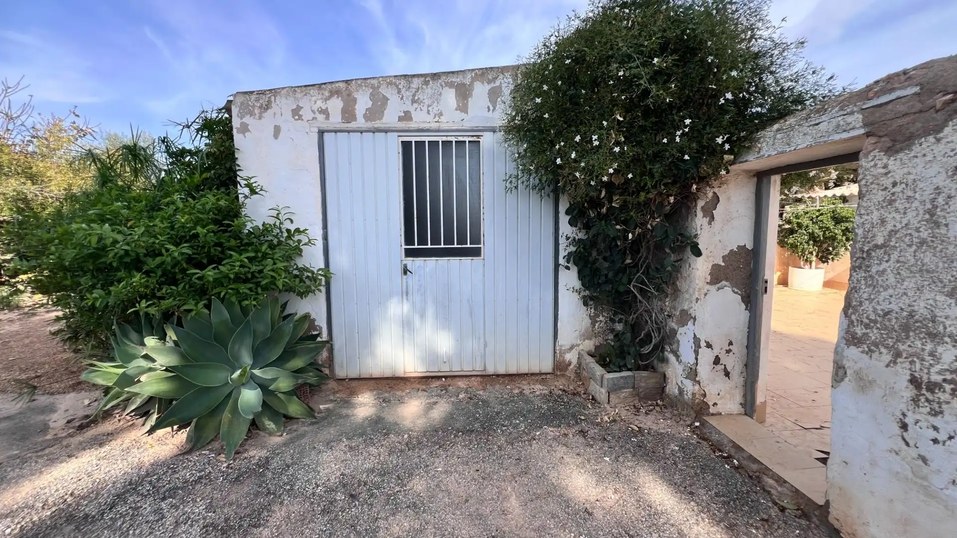 Garden of Country homes for sale in Torre-Pacheco  with Private garden