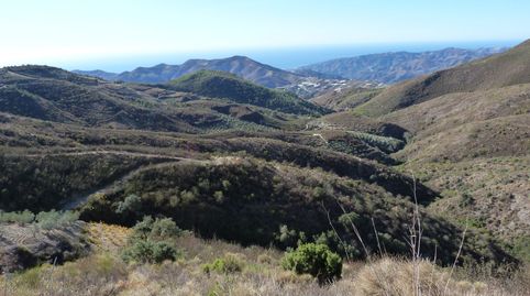 Parcela de terreno en venta en el paraje de Jurite Ítrabo de 22.000 metros cuadrados., immagine 2