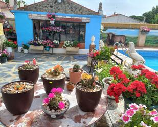 Jardí de Casa o xalet en venda en Calvarrasa de Abajo amb Terrassa