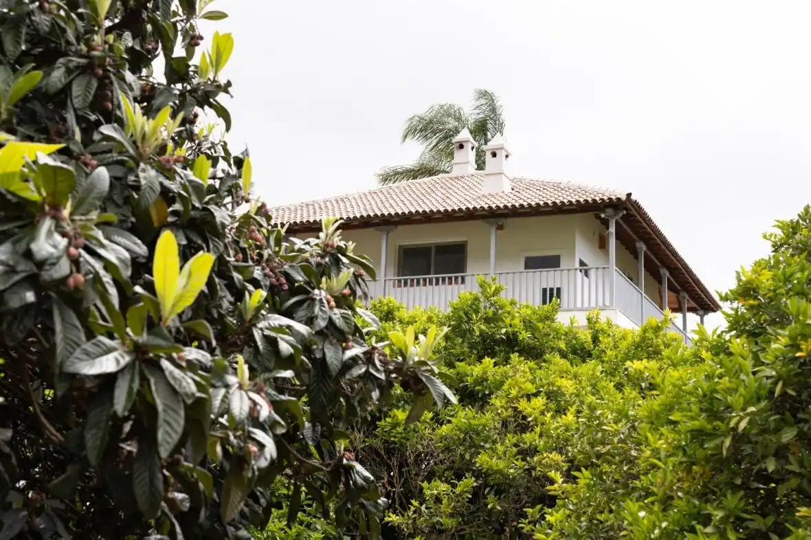 Vista exterior de Finca rústica en venda en La Orotava amb Terrassa