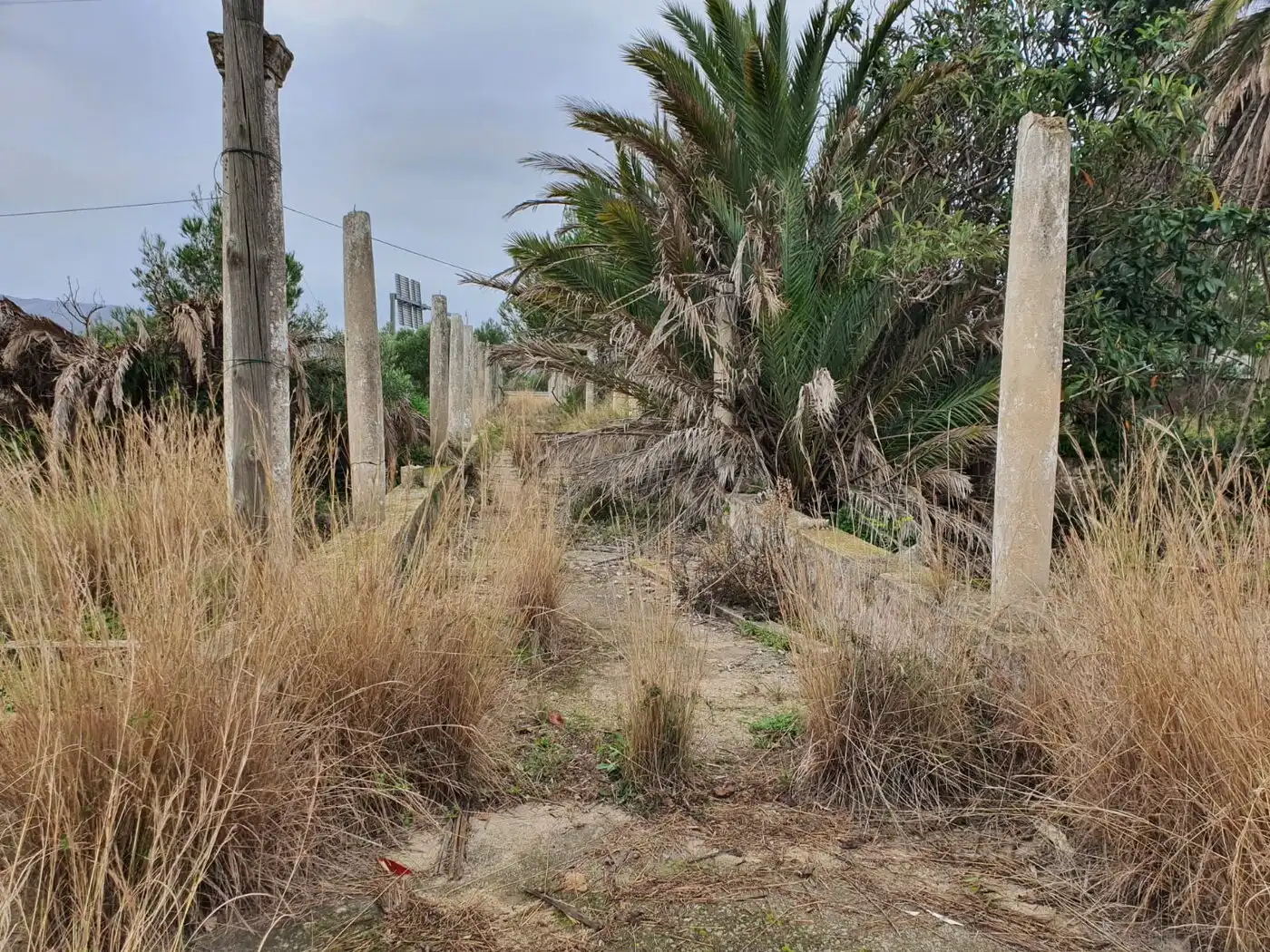 Villa à vendre à Centro, imagen 12