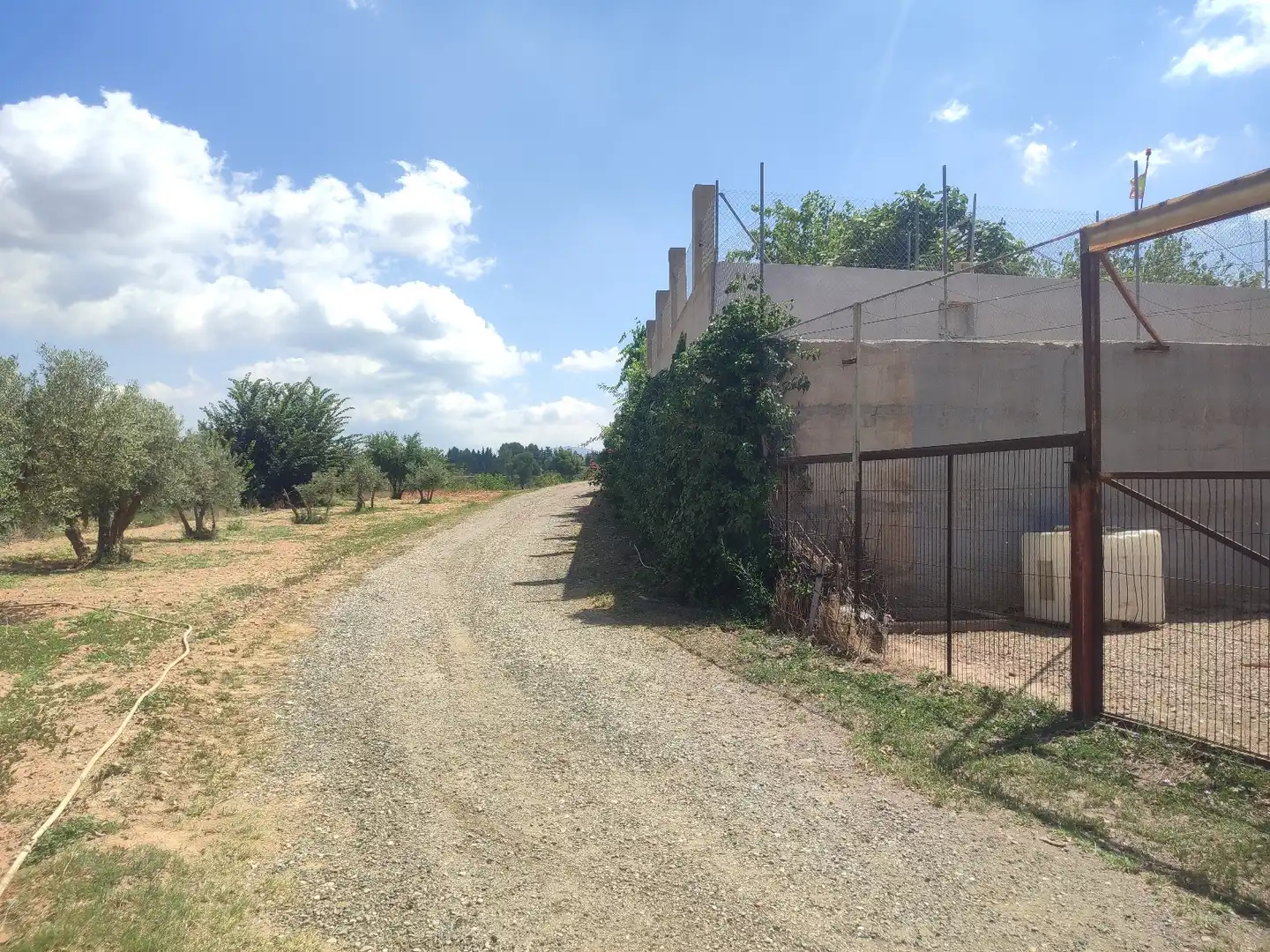Industriegebäude zum Verkauf in Calle Desvío Carretera, imagen 19