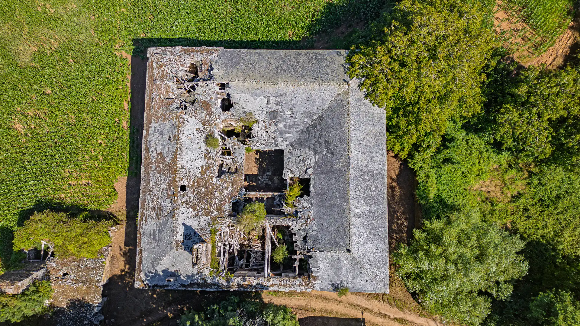 Vista exterior de Finca rústica en venta en Castroverde con Amueblado