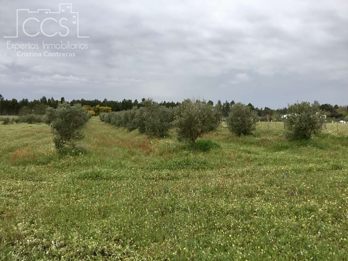 Finca rústica en venta en Almonte