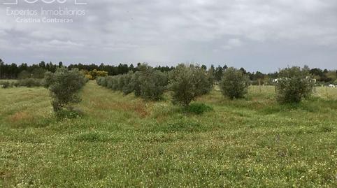 Foto 3 de Finca rústica en venda a Almonte ciudad, Huelva