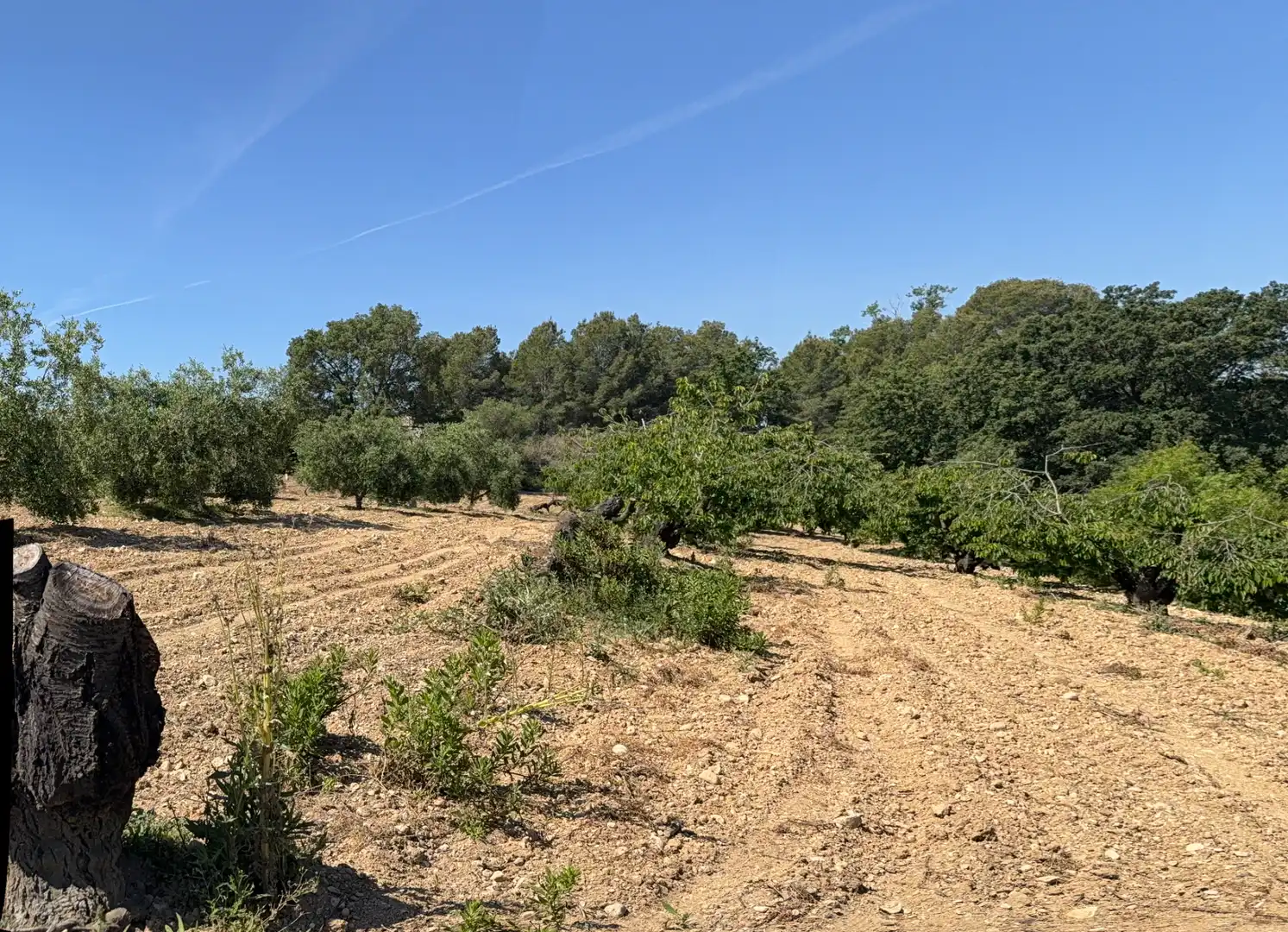 Rustikales Grundstück zum Verkauf in Camí del Cementiri 97, imagen 4
