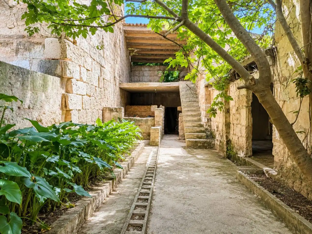 Vista exterior de Casa o xalet en venda en Sa Pobla amb Jardí privat i Terrassa