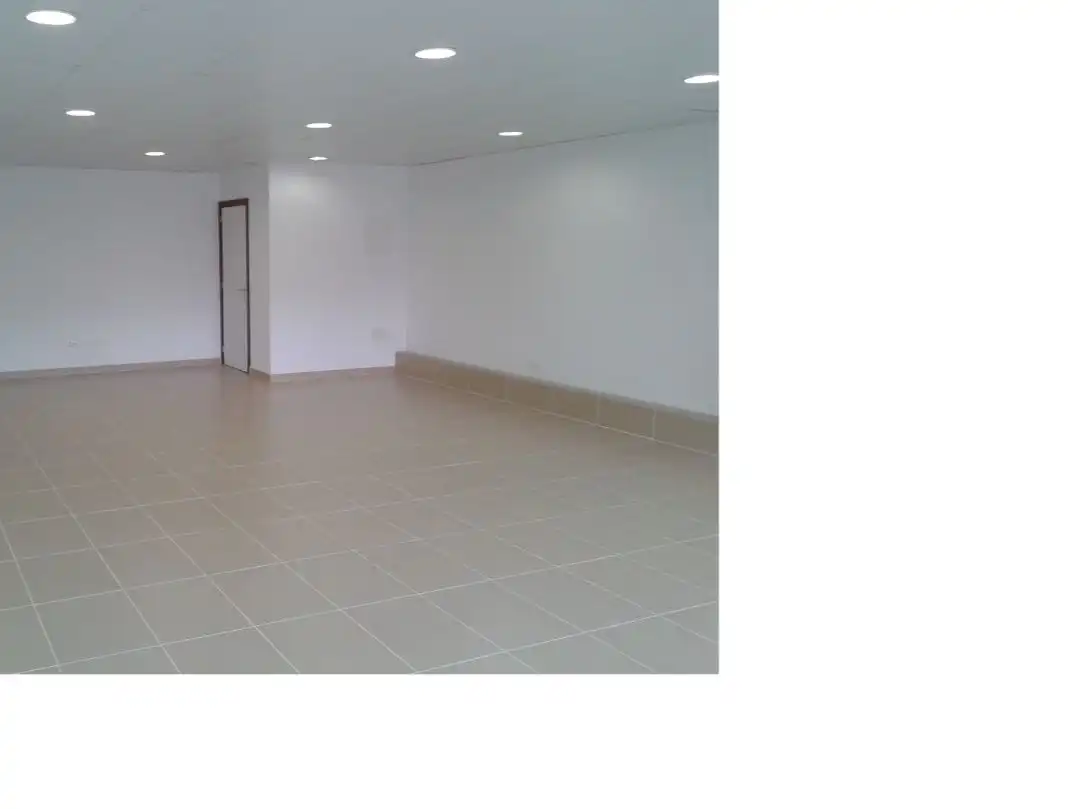 Gewerbefläche zum Verkauf in Dels Horts 17, imagen 2