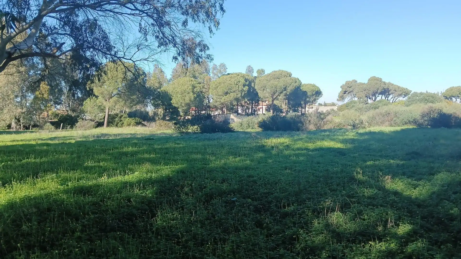 Residential land for sale in Los Franceses – La Vega, imagen 3