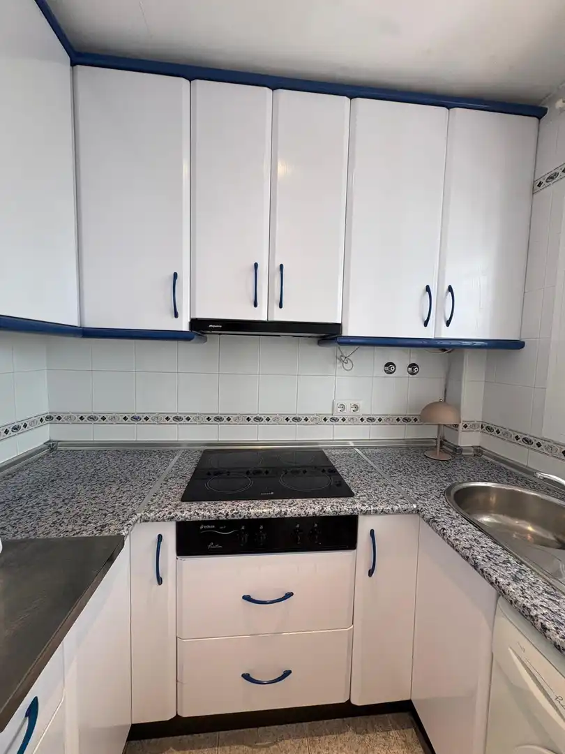 Kitchen of Apartments for rent in Chiclana de la Frontera  with Furnished and Community pool