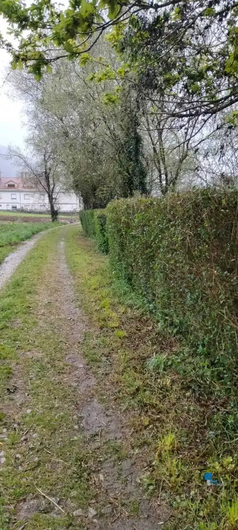 Terreni e lotti in vendita a Rasines, imagen 7