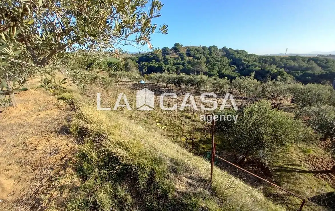 Terreno rustico in vendita a Zona Industrial, imagen 19