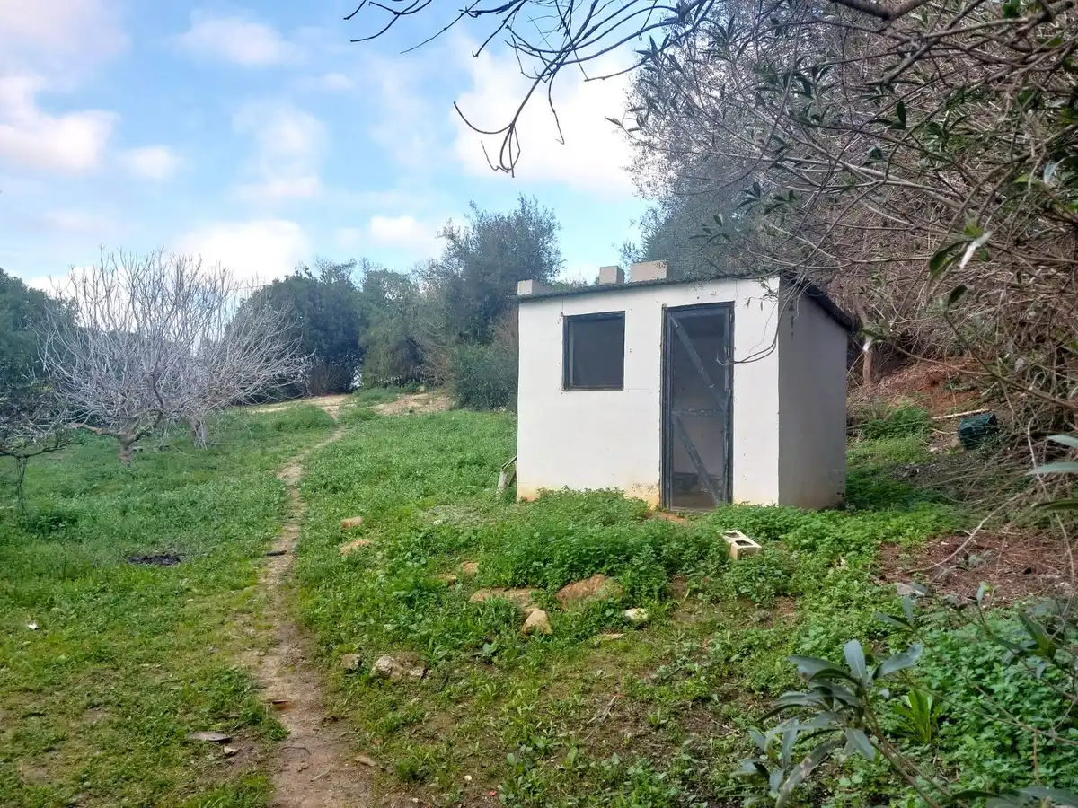 Casa o xalet en venda a San Martín del Tesorillo