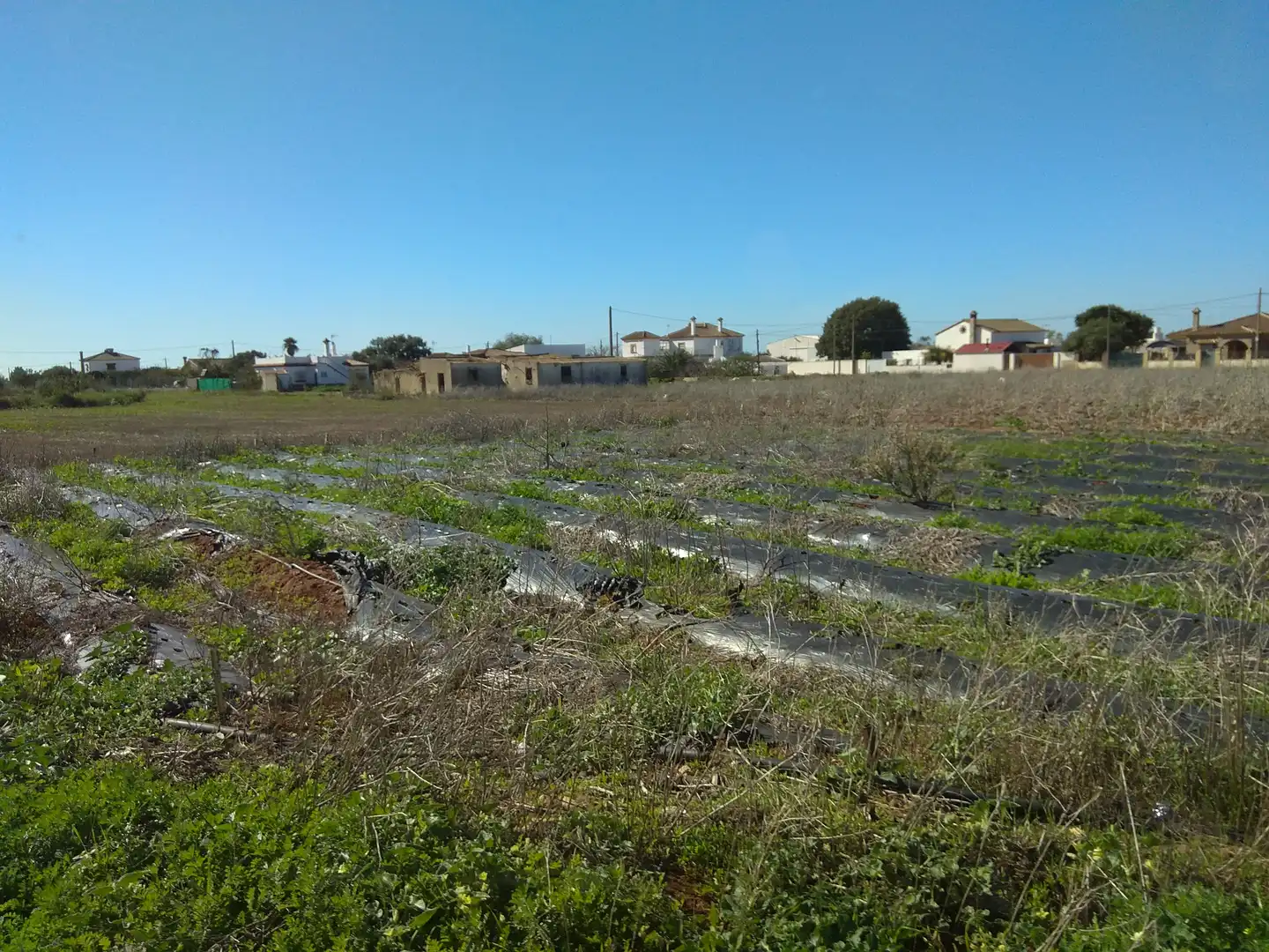 Grundstücke zum Verkauf in Cádiz