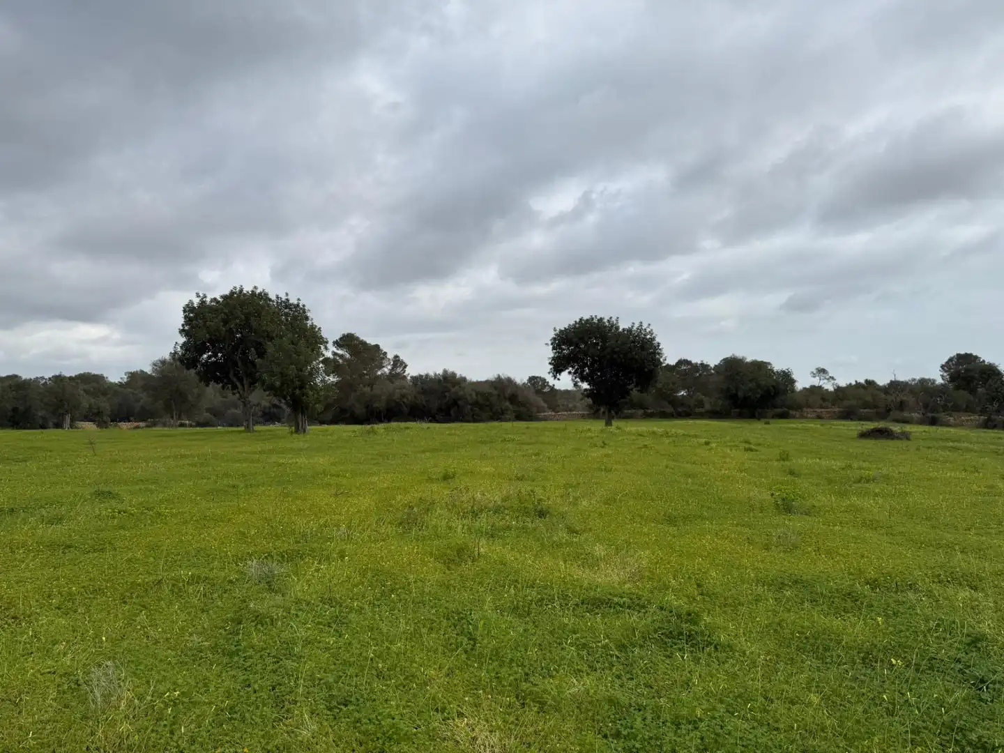 Terreno rustico in vendita a Llucmajor pueblo, imagen 9