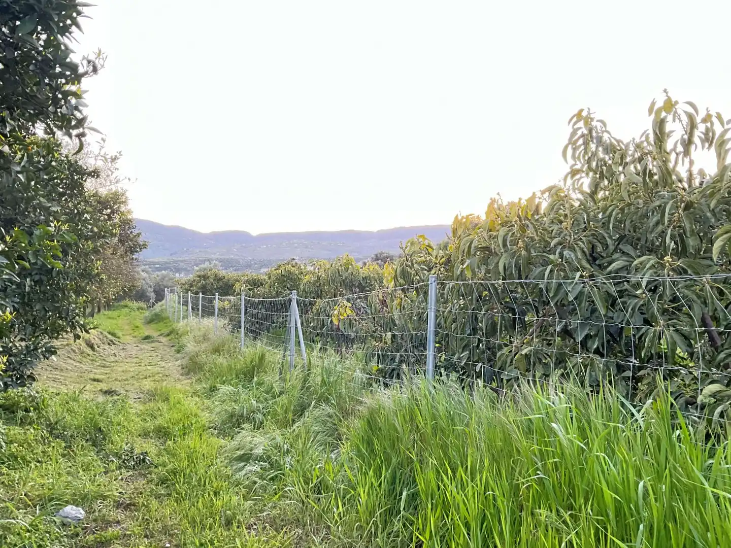 Terreni e lotti in vendita a Lecrín, imagen 7