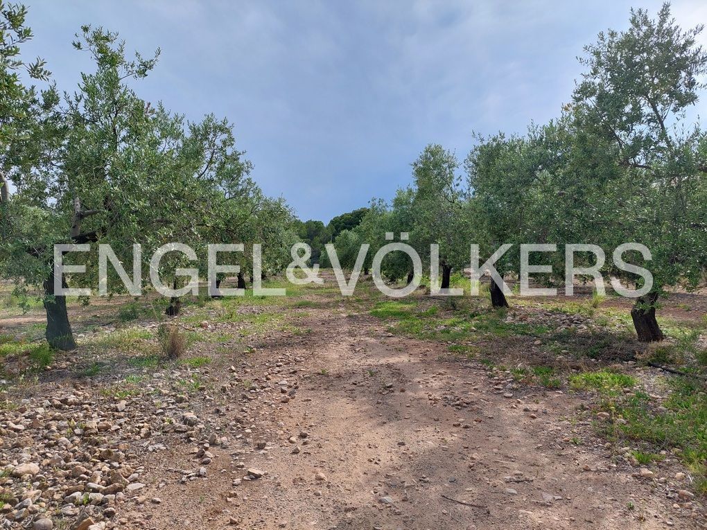 Residential for sale in Mont-roig del Camp