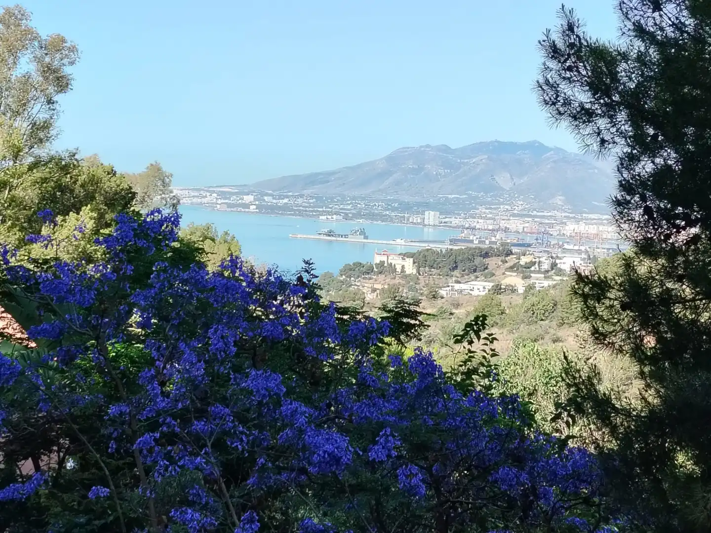 Vista exterior de Casa o chalet en venta en Málaga con Jardín privado, Terraza y Piscina