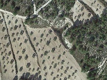 Terrain rustique à vendre à Lorca Ciudad
