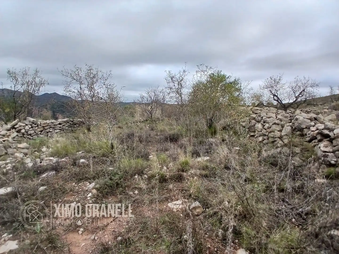 Terreny rústic en venda a La Vall d'Uixó, imagen 22